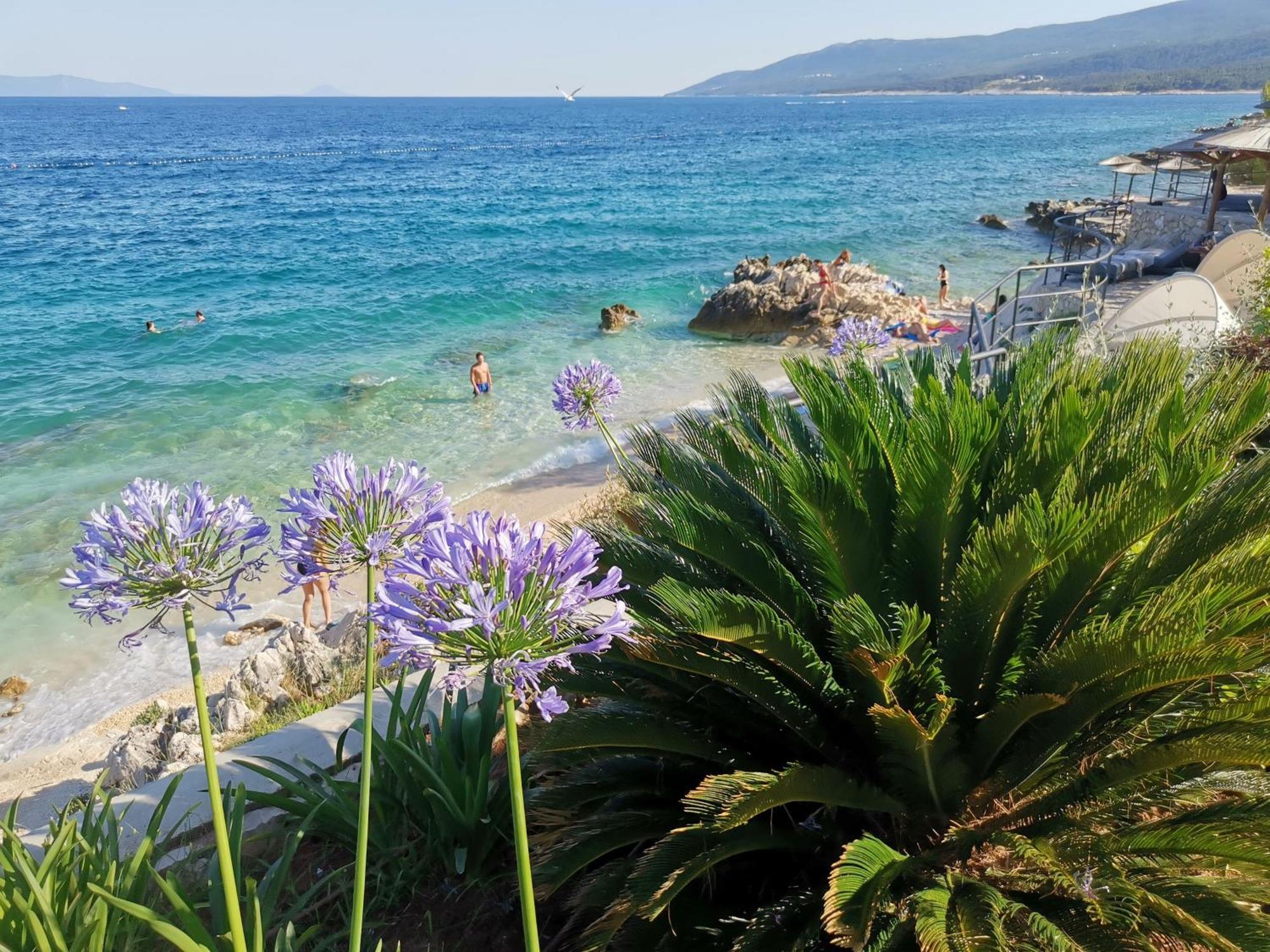 Ginko House Lejlighed Opatija Eksteriør billede