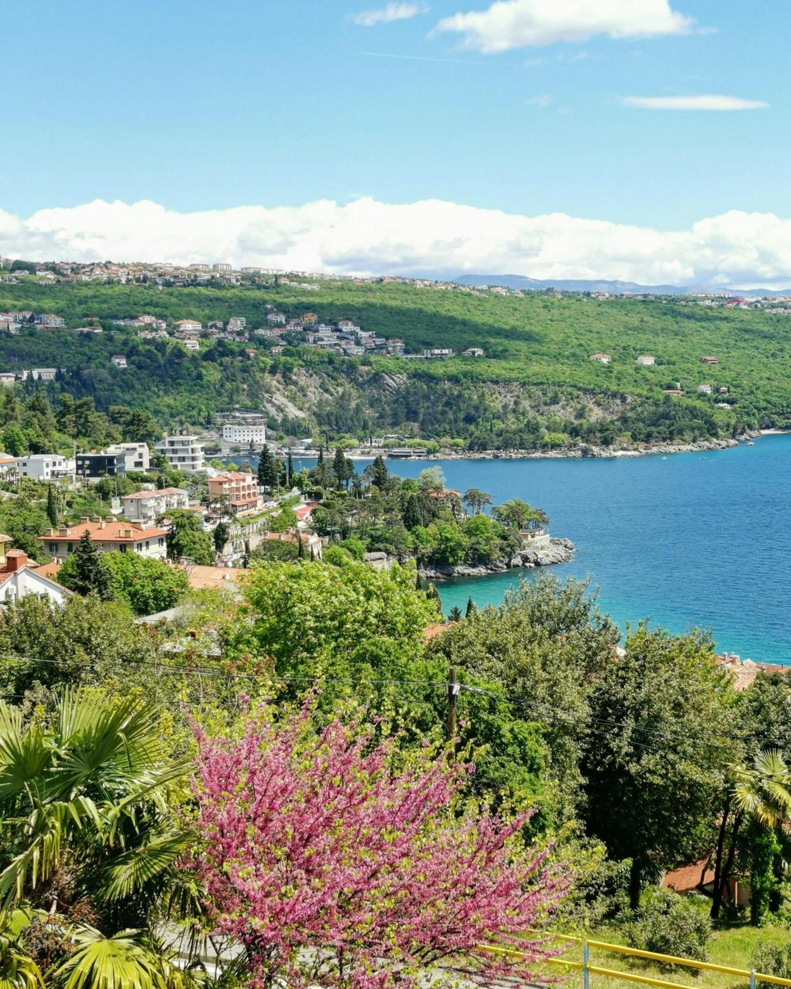 Ginko House Lejlighed Opatija Eksteriør billede